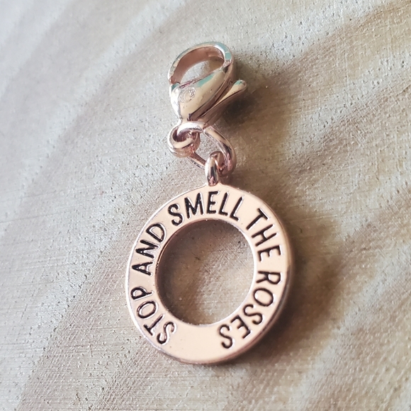 Origami Owl PICK 2 dangles for necklace/bracelets - Picture 3 of 7